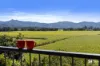183 Murwillumbah Street, Murwillumbah, NSW 2484-Image