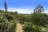 183 Murwillumbah Street, Murwillumbah, NSW 2484-Image