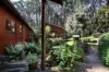 183 Tunnel Creek Road, Kerrie, Vic 3434-Image