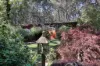 183 Tunnel Creek Road, Kerrie, Vic 3434-Image