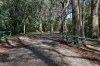 183 Tunnel Creek Road, Kerrie, Vic 3434-Image