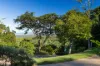 1839 Conway Road, Conway, Qld 4800-Image