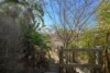 184 J Hickey Avenue, Clinton QLD 4680-Image