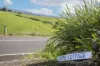 184 Jamberoo Road, Jamberoo, NSW 2533-Image