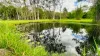 184 Mackie Road, Narangba, Qld 4504-Image