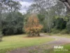 185 Boscombe Road, Brookfield, Qld 4069-Image