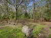 185 Fullers Road, Foster, Vic 3960-Image