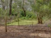 185 Fullers Road, Foster, Vic 3960-Image