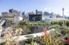 185 Palmer Street, Darlinghurst, NSW 2010-Image