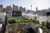 185 Palmer Street, Darlinghurst, NSW 2010-Image