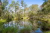 185 River Street, Moruya, NSW 2537-Image