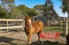 185 School Road, Bayles, Vic 3981-Image
