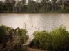 185 Westlake Drive, Westlake, Qld 4074-Image