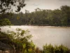 185 Westlake Drive, Westlake, Qld 4074-Image