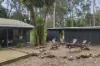 185 Whitegum Drive, Wheatsheaf, Vic 3461-Image