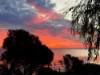 186 Beach Road, Sandringham, Vic 3191-Image