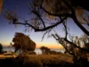 186 Beach Road, Sandringham, Vic 3191-Image