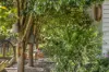 186 Creamery Road, Sulphur Creek, Tas 7316-Image
