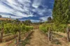 186 Creamery Road, Sulphur Creek, Tas 7316-Image