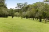 186 Old Palmwoods Road, West Woombye, Qld 4559-Image