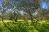 187 Balmoral Road, Kalbeeba, SA 5118-Image
