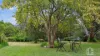 187 Burns Road, Springwood, NSW 2777-Image