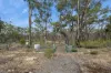187 Ramon Parade, Laanecoorie, Vic 3463-Image