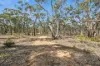 187 Ramon Parade, Laanecoorie, Vic 3463-Image