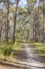 187 Vermont Road, Smythesdale, Vic 3351-Image