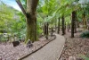 187 Woods Point Road, East Warburton, Vic 3799-Image