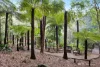 187 Woods Point Road, East Warburton, Vic 3799-Image