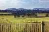 188 Cessnock Road, Maitland, NSW 2320-Image