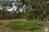 189 Alkera Road, Invermay, Vic 3352-Image