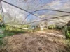 189 Byers Road, Wondecla, Qld 4887-Image