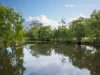 1897 Tin Can Bay Road, Goomboorian, Qld 4570-Image