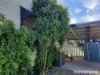 18C Winton Street, Goondiwindi, Qld 4390-Image