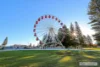19/142 Watkins St, White Gum Valley, WA 6162-Image