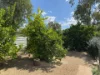19 Abrahams Crescent, Braitling, NT 0870-Image