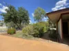 19 Abrahams Crescent, Braitling, NT 0870-Image