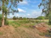 19 Alabar Crescent, Globe Derby Park, SA 5110-Image