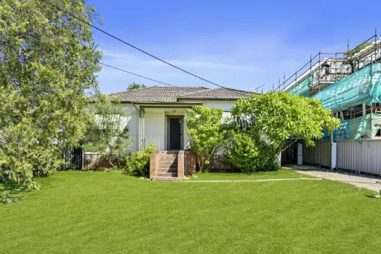 19 Alick Street, Cabramatta, NSW 2166