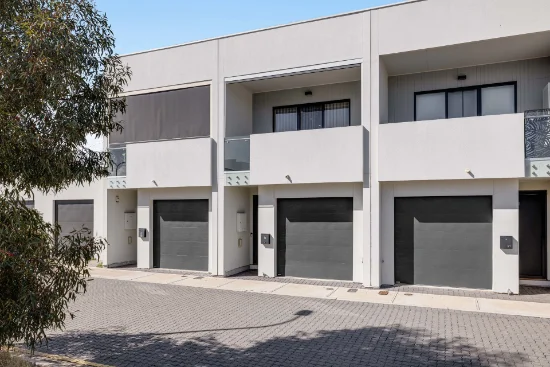 19 Ambleside Place, Morphettville, SA 5043