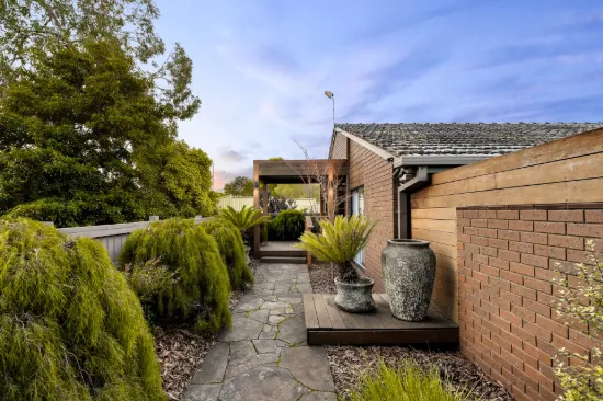 19 Amesbury Avenue, Wantirna, Vic 3152