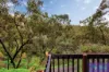 19 Ash Avenue, Belair, SA 5052-Image