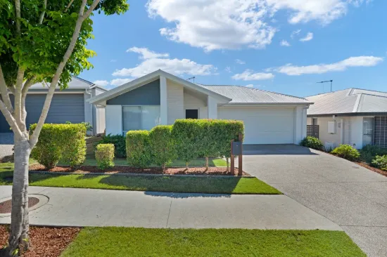 19 Austin Way, Park Ridge, Qld 4125