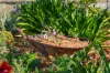 19 Australia Drive, Gulmarrad, NSW 2463-Image