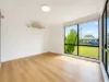 19  Avoca Road, Canley Heights, NSW 2166-Image