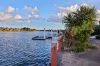 19 Bahamas Circuit, Kawana Island, Qld 4575-Image