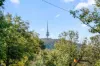 19 Bailey Place, Yarralumla, ACT 2600-Image