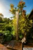 19 Bamber Street, Tully, Qld 4854-Image